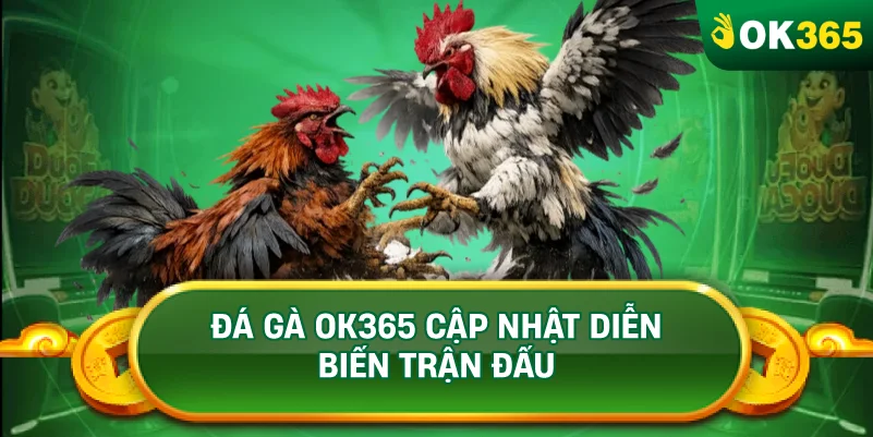 ĐÁ GÀ OK365 CẬP NHẬT DIỄN BIẾN TRẬN ĐẤU ĐÁ GÀ OK365 CẬP NHẬT DIỄN BIẾN TRẬN ĐẤU