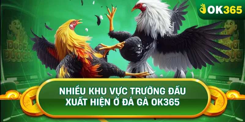 NHIỀU KHU VỰC TRƯỜNG ĐẤU XUẤT HIỆN Ở ĐÁ GÀ OK365 NHIỀU KHU VỰC TRƯỜNG ĐẤU XUẤT HIỆN Ở ĐÁ GÀ OK365