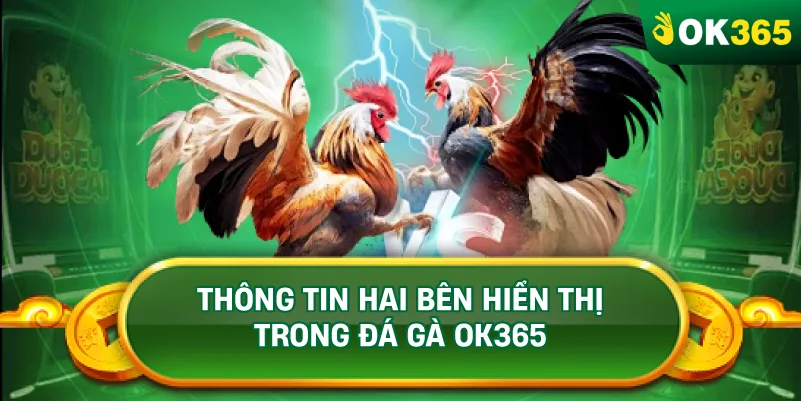 THÔNG TIN HAI BÊN HIỂN THỊ TRONG ĐÁ GÀ OK365 THÔNG TIN HAI BÊN HIỂN THỊ TRONG ĐÁ GÀ OK365