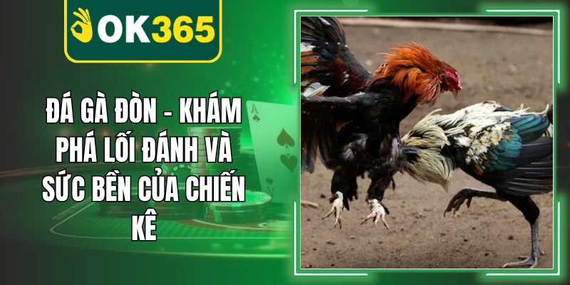 Đá Gà Đòn – Khám Phá Lối Đánh Và Sức Bền Của Chiến Kê
